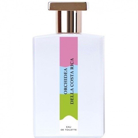 Orchidea della Costa Rica